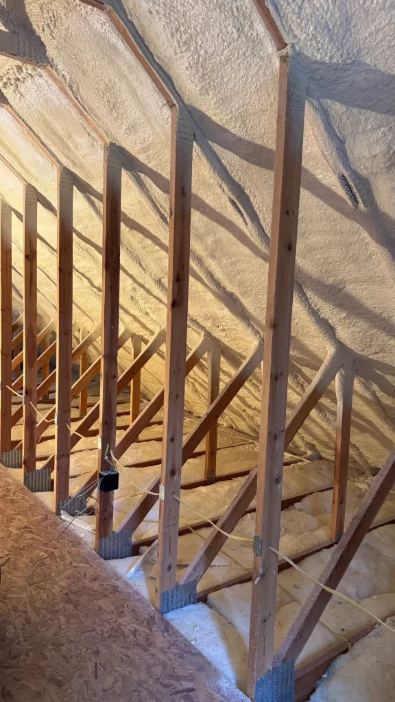 Open Cell Spray Foam and Pest Control An Unexpected Benefit in Evergreen MT 1