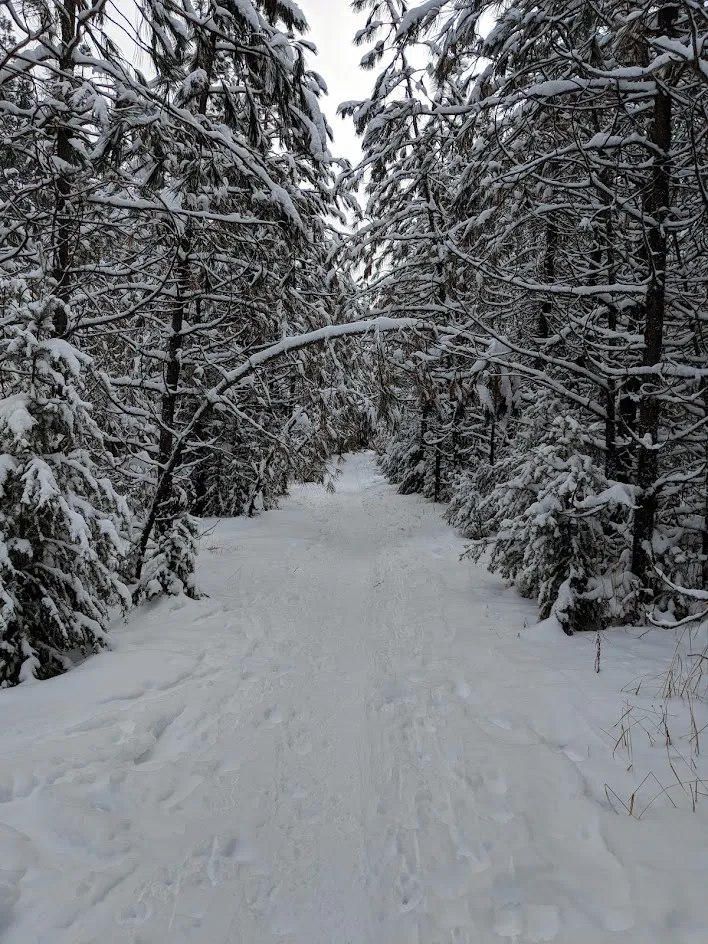Rattlesnake National Recreation Area