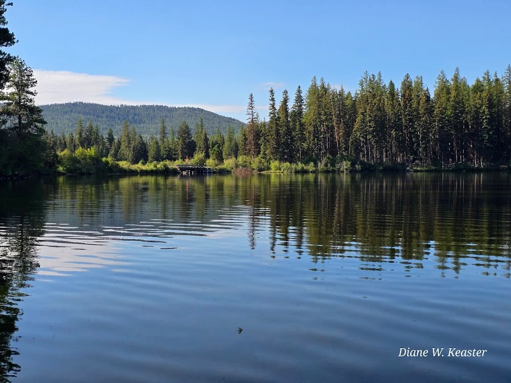 Placid Lake State Park