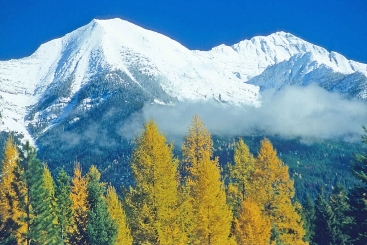 Maryland State House
